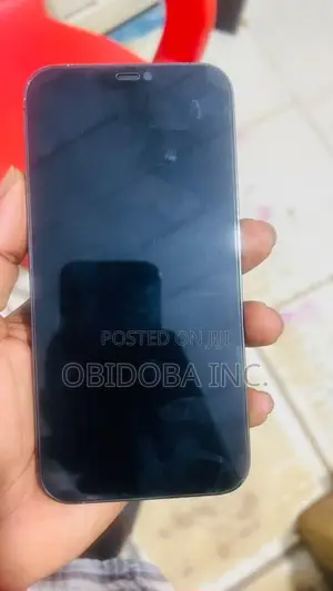 Apple iPhone 12 Pro Max 256GB Graphite