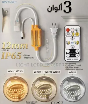 3-Color LED Rope Light with Remote