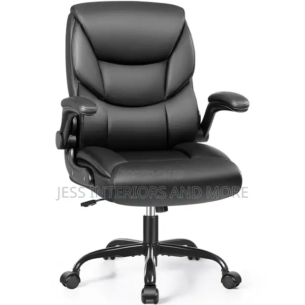 Executive Ergonomic Office Chair - 1