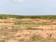 Installment Lands for Sale - Pay While You Work - 3