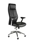 Brand New VIG Furniture Executive Office Chair - 2