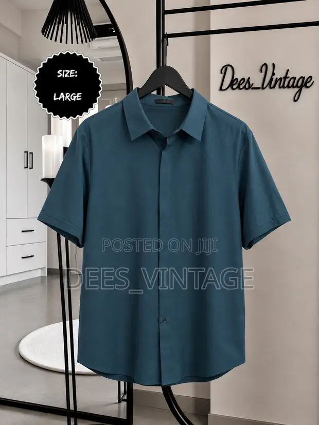 Zara Button Down Shirts - Men's Multi-Color Dress Shirts - 1