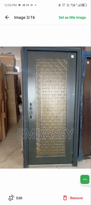 Paladin Steel Security Door - Brand New