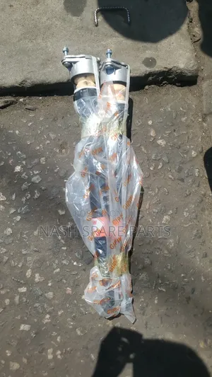Mercedes-Benz W204 C250 Rear Shock Absorber