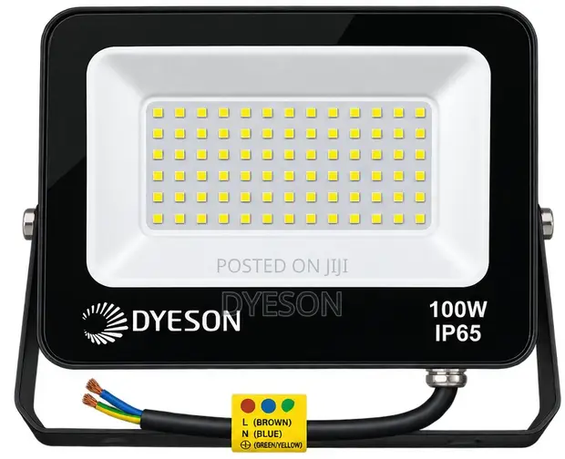 Dyeson 100W Flood Light - White (6000K) - 1