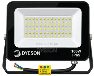 Dyeson 100W Flood Light - White (6000K)
