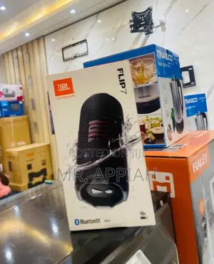 Unique JBL Flip 7 Wireless Speaker (Black)