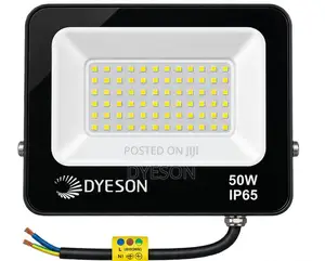 Dyeson 50W LED Flood Light