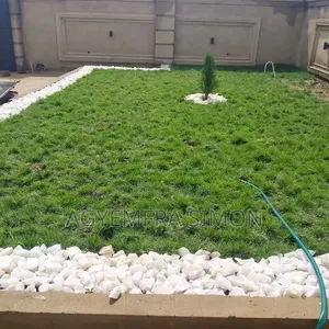 Garden Work and Landscaping Services