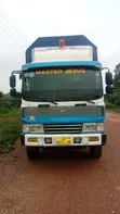 Hyundai Gold Cargo Truck for Sale - 1