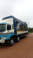 Hyundai Gold Cargo Truck for Sale - 2