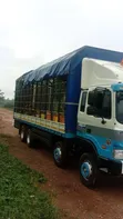 Hyundai Gold Cargo Truck for Sale - 4