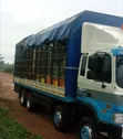 Hyundai Gold Cargo Truck for Sale - 5