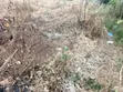 Half Plot for Sale - Bawuleshi, Oyibi - 2