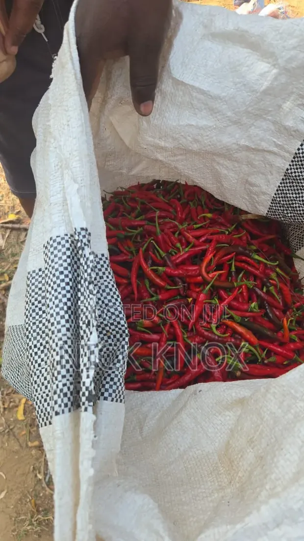 Fresh Cayenne Pepper - 1