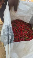 Fresh Cayenne Pepper - 1