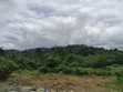 Mechanized Borehole Drilling Services in Nyinahini - 2