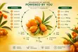 Natural Fluoride-Free Toothpaste - Sea Buckthorn & White Tea (150g) - 4