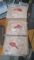 Vulva Suturing Training Stimulator - 2