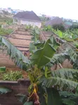 6-Bedroom Uncompleted House for Sale in Atwima Kwanwoma - 2