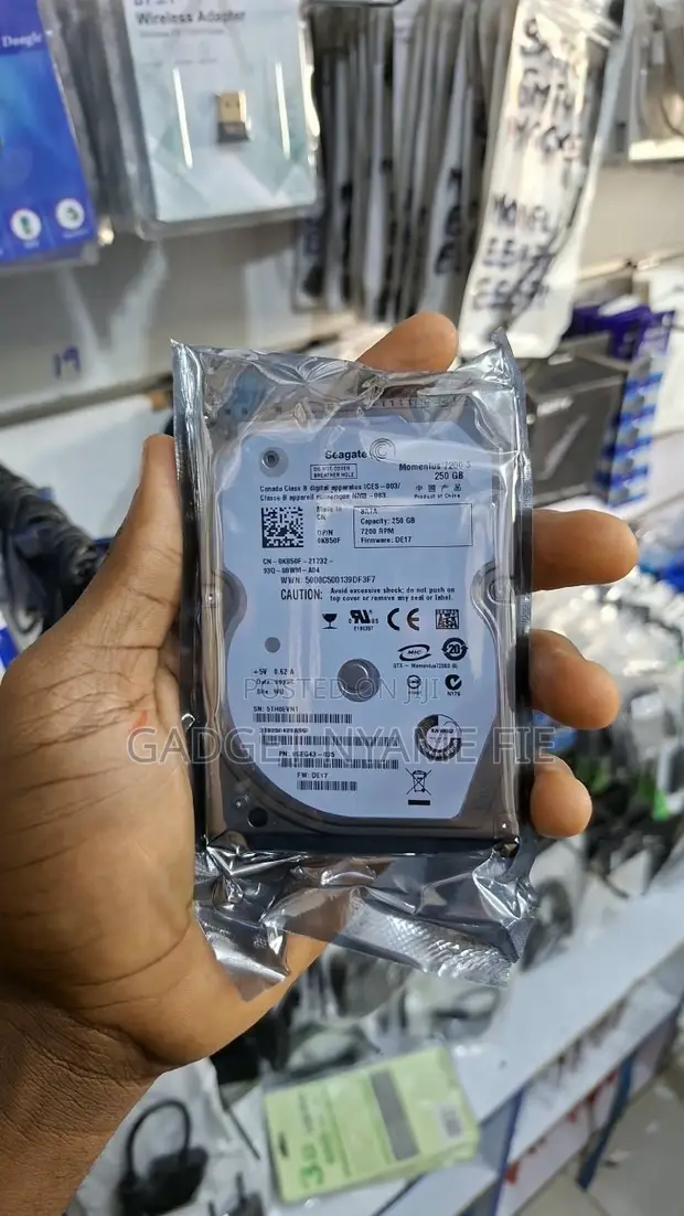 Seagate 250GB Laptop Hard Drive - 1
