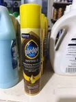 Pledge Wood and Furniture Polish - 2