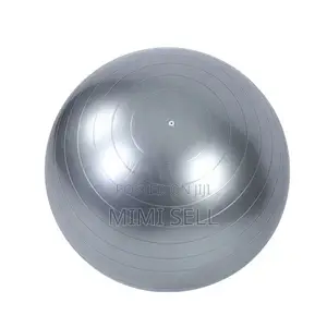 Brand New Bodyfit Gym Ball with Pump