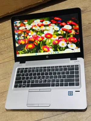 HP EliteBook 840 G3 Laptop - Core i5, 8GB RAM, 256GB SSD