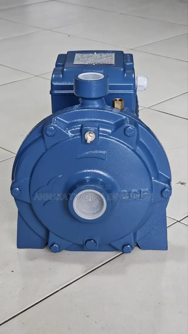 Pedrollo 3-Phase Electric Water Pump - 1