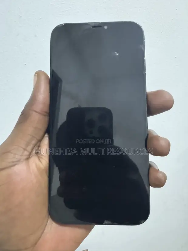 Apple iPhone 12 Pro Max 128GB Gray - 1
