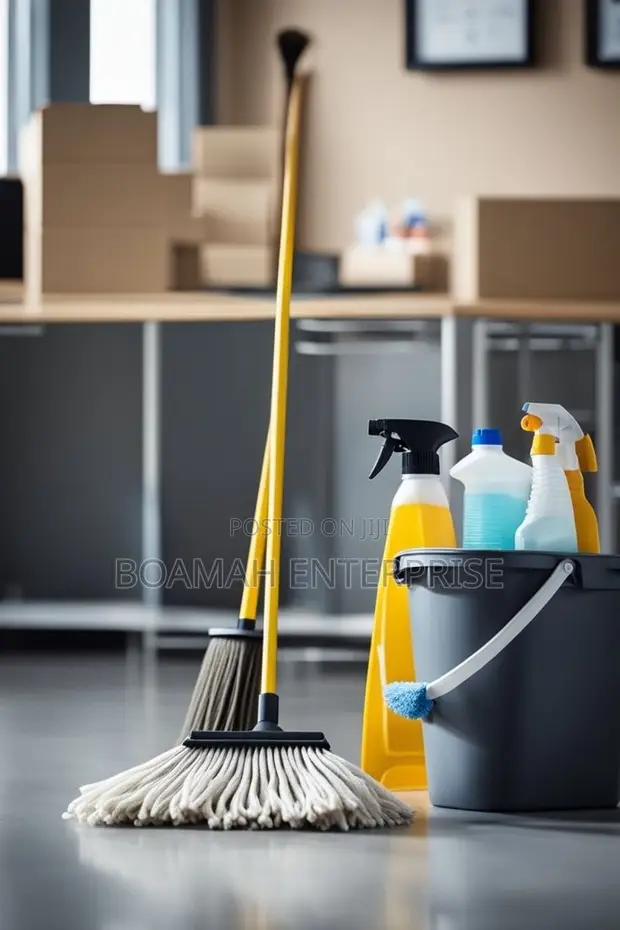 Professional Deep Cleaning Service - 1