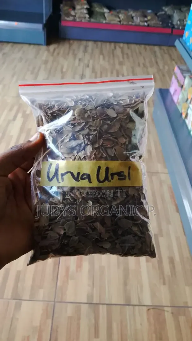 Uva Ursi (Bearberry) for UTIs - 1