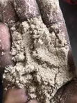 Grade A Rice Bran - 50kg Bags - 4