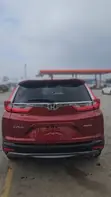 2019 Honda CR-V EX-L AWD Burgundy - 4