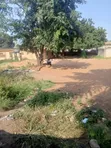 8 Plots of Land for Sale at Lapaz - 2