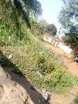 8 Plots of Land for Sale at Lapaz - 5