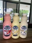 Raman-Fresh Yogurt Drink - 3