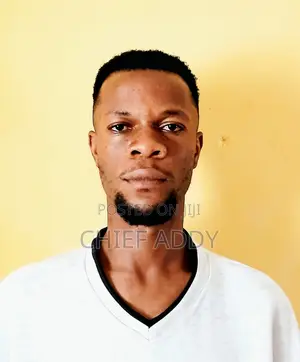 Driver CV - Akweteyman