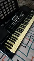 GLS PSR 450 Professional Keyboard - 2