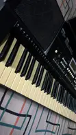 GLS PSR 450 Professional Keyboard - 3