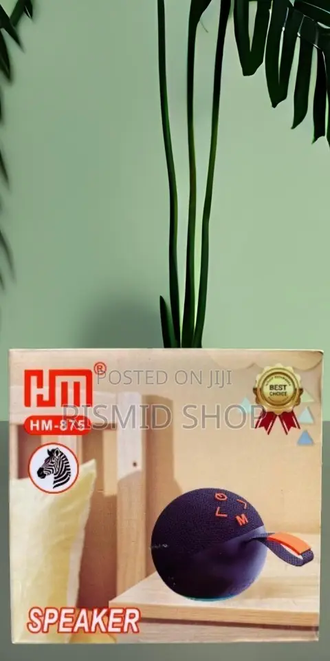 HM-875 Portable Wireless Bluetooth Speaker - 1