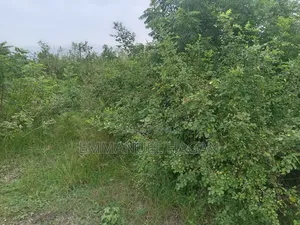 Half Plot of Land at Shai Hills, Sun City Junction