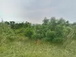 Half Plot of Land at Shai Hills, Sun City Junction - 2
