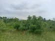 Half Plot of Land at Shai Hills, Sun City Junction - 3