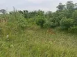 Half Plot of Land at Shai Hills, Sun City Junction - 4