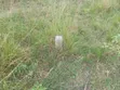 Half Plot of Land at Shai Hills, Sun City Junction - 5