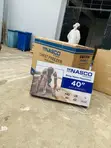 New NASCO 40" Satellite TV (NAS-P40FBD) - 1