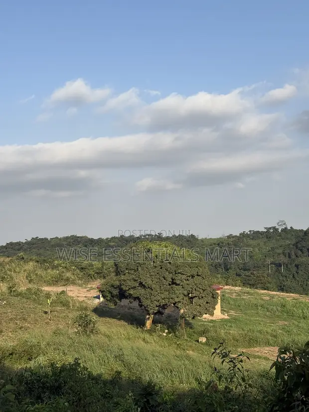 Land for Sale in Aburi Adonten - 1