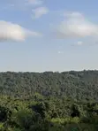 Land for Sale in Aburi Adonten - 4