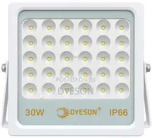 FDL-Mstar 30W LED Floodlight